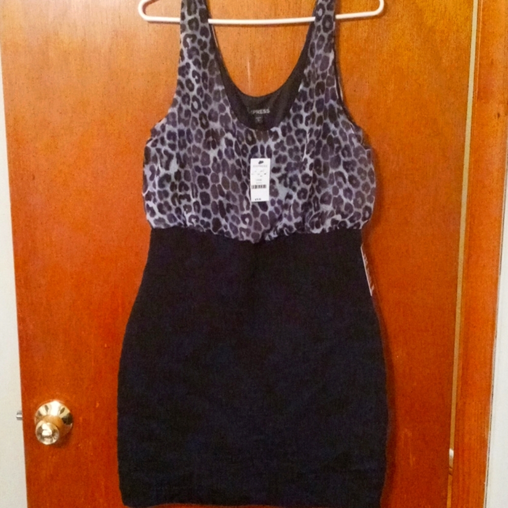 Express Dress